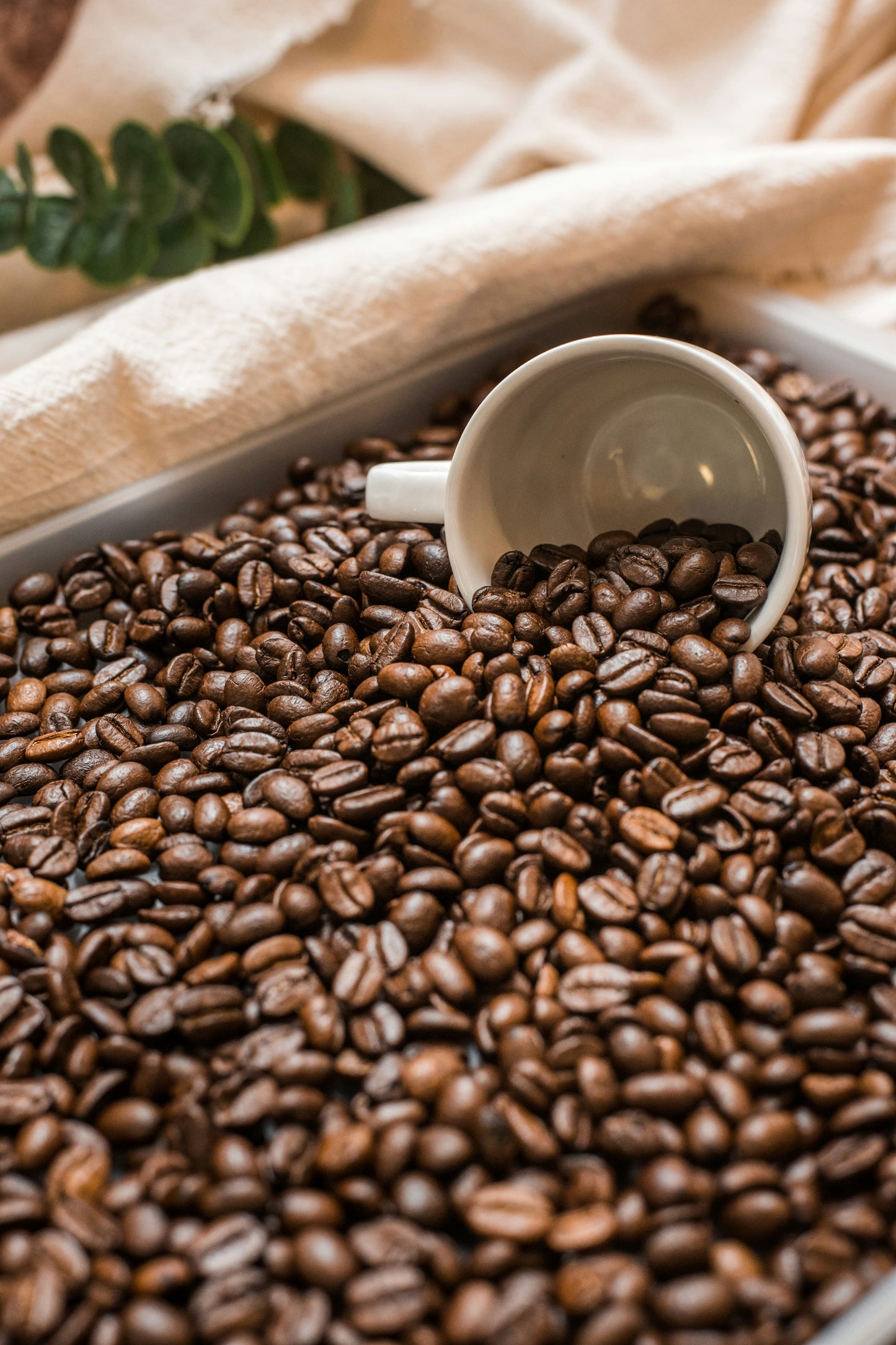 Honduras 12oz. Whole Beans - Light Roast
